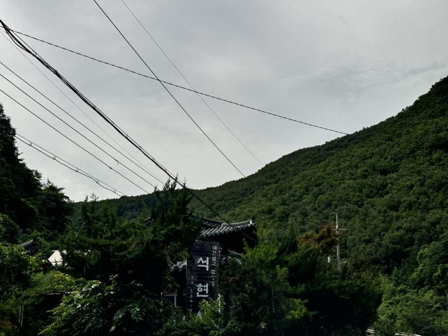 잎새바람 사진 3