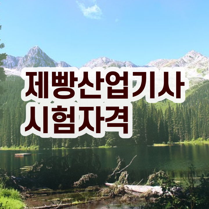  제빵산업기사 취득자격 독학으로 빠르게 준비한 노하우
