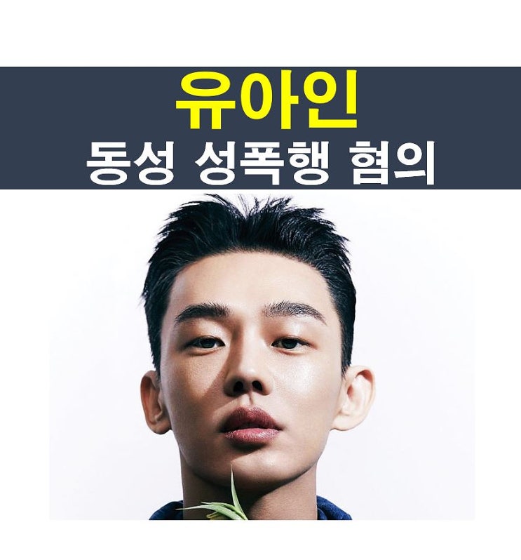 <b>유아인</b>::동성 <b>성폭행</b> <b>혐의</b>, 사실이면 '마약+<b>성폭행</b>범 게이' 확정