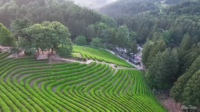  산림기사 관련학과 산림기사 응시자격 독학으로 빠르게 준비한 비법