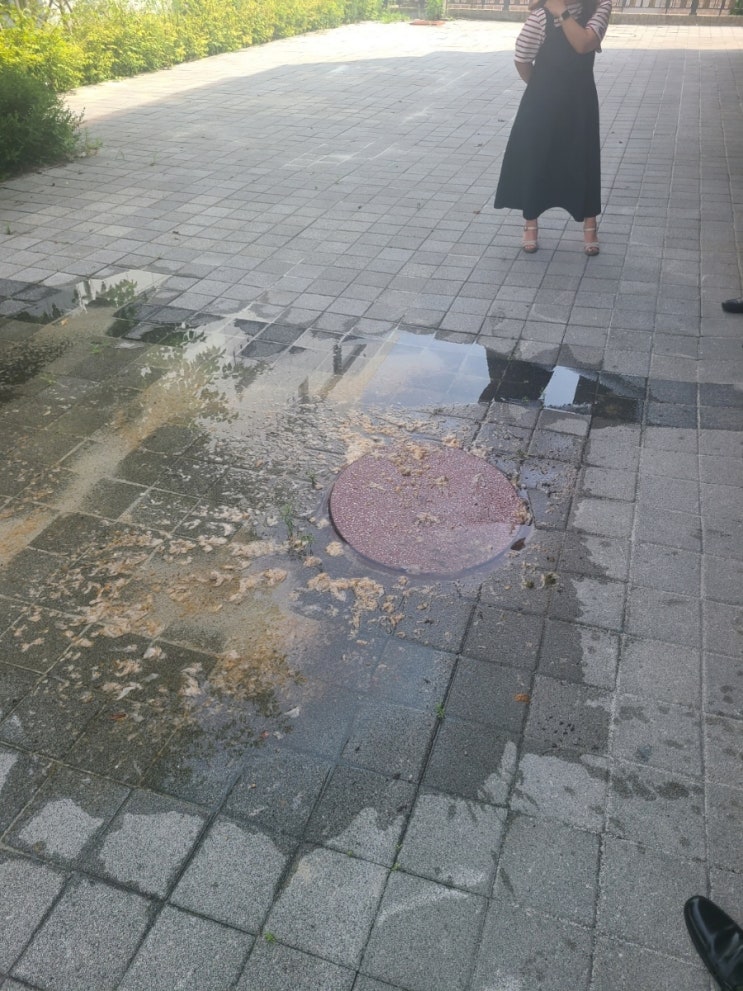  양주삼숭동 오수맨홀역류.고압세척현장