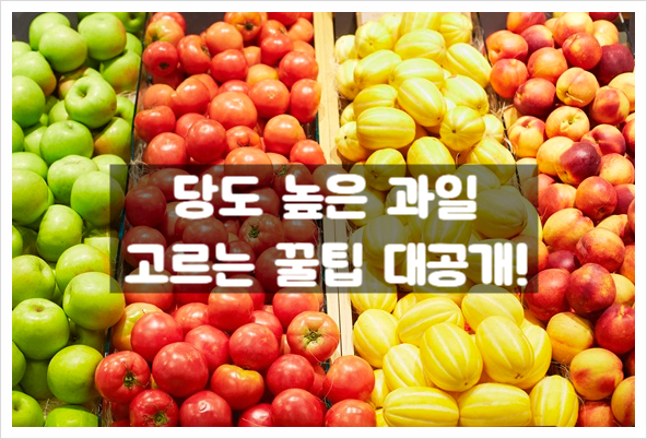  당도 높은 과일, 이렇게 고르면 돼요! 
