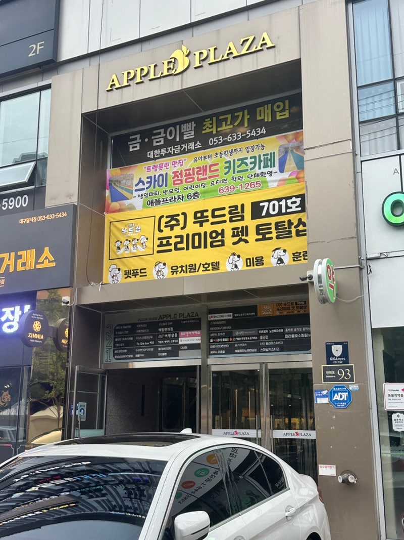 사진 5