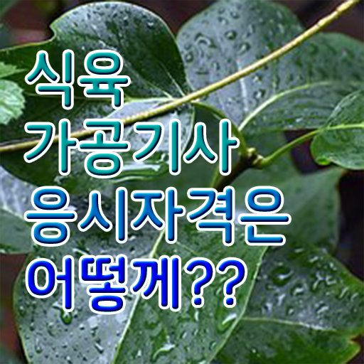 식육가공기사 난이도 식육가공기사 시험응시조건 인강으로 1학기에 준비한 후기