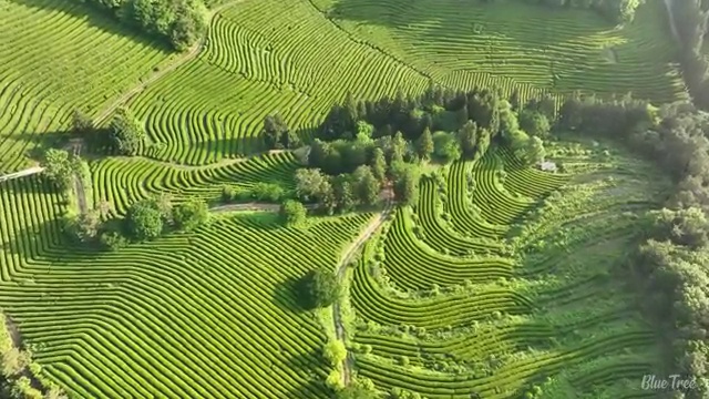  대전 사회복지사2급온라인 . 사회복지사 고졸도 독학으로 쉽고 빠르게