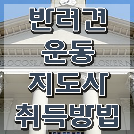  40대남성자격증 , 반려견운동지도사 일하면서 빠르게 끝내는 방법