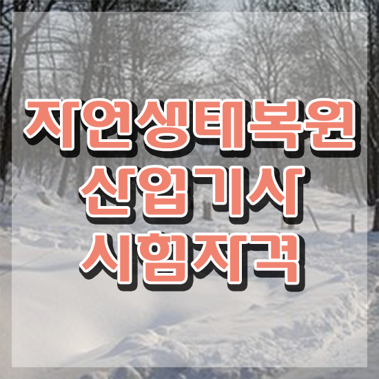  자연생태복원산업기사 응시자격 학점은행제로 1학기에 성공한 과정