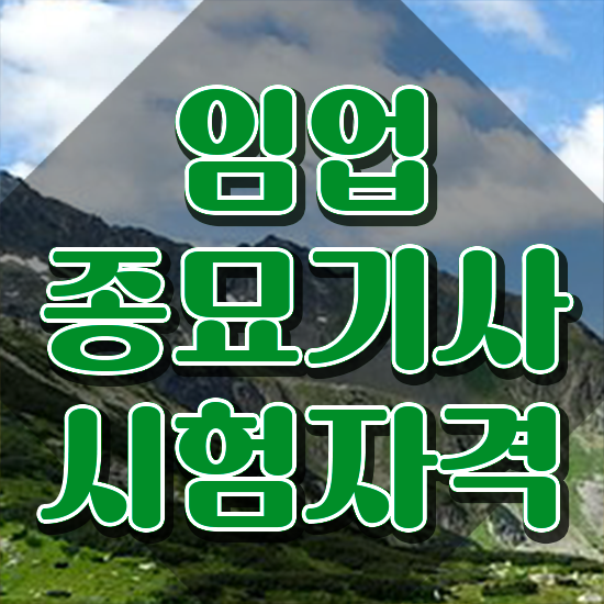  임업종묘기사 응시조건 독학으로 4개월 만에 성공한 노하우