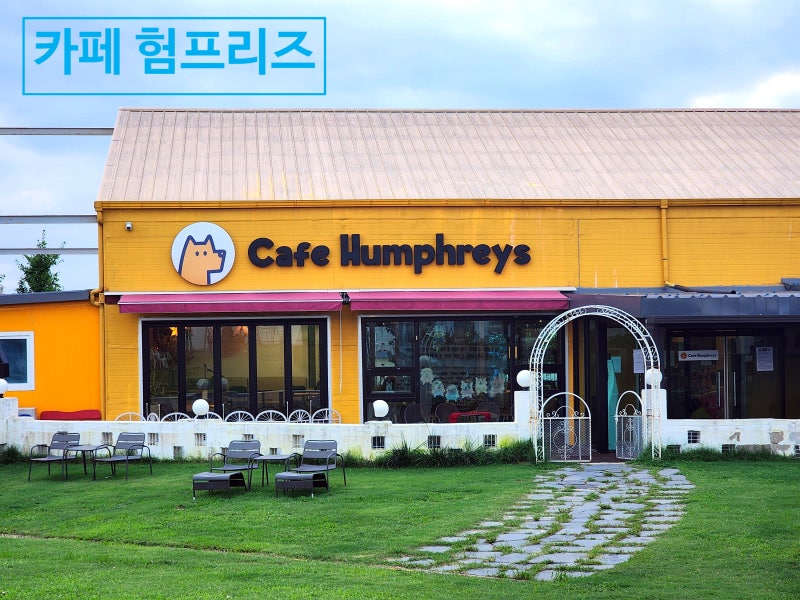 사진 5