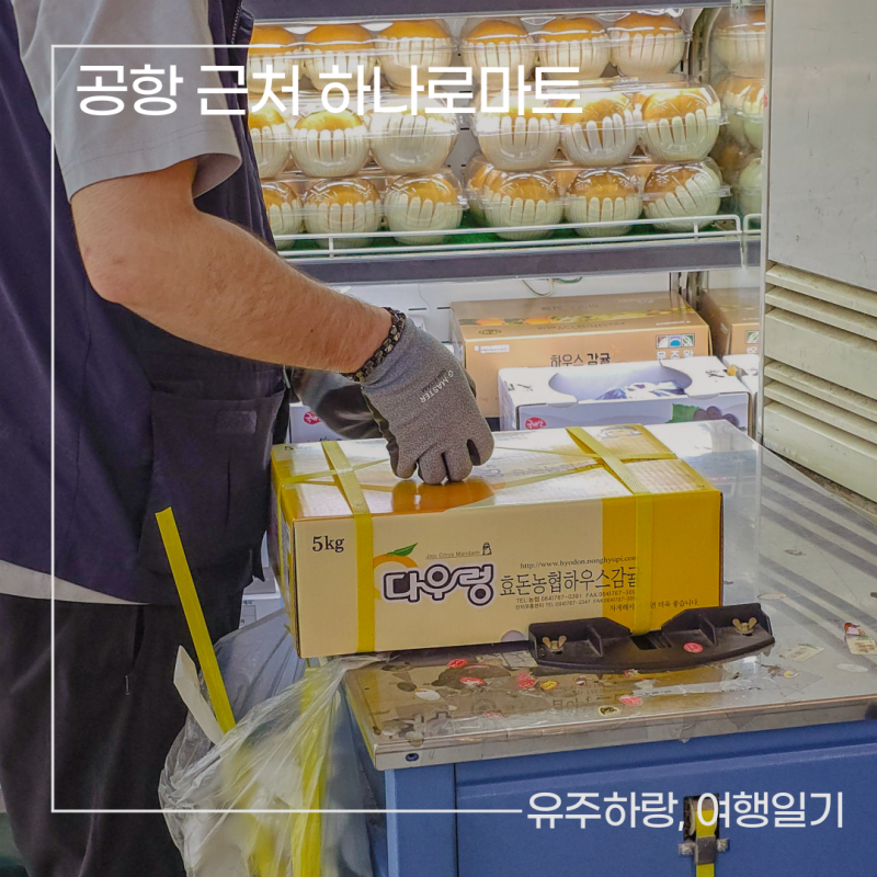 하나로마트 제주시농협 제주점 공항 근처 귤 택배 보내기