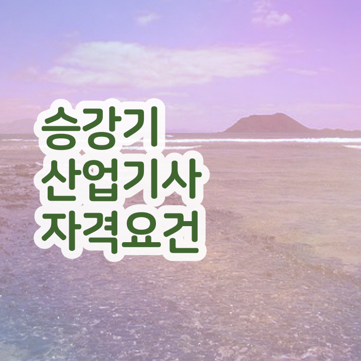 승강기산업기사합격률 승강기산업기사 자격요건 인강만 듣고 5달만에 끝낸 방법