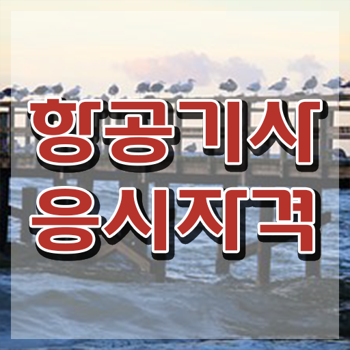  항공기사 준비 항공기사 자격요건 독학으로 간단하게 끝낸 비법