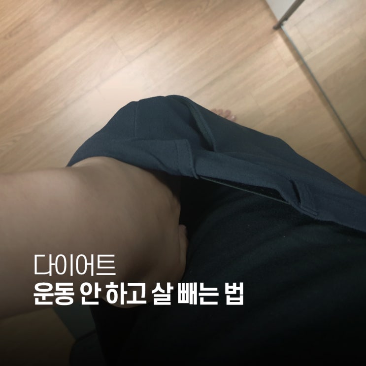  다이어트 하는 방법 건강한 다이어트란 운동 안 하고 살 빼는 법