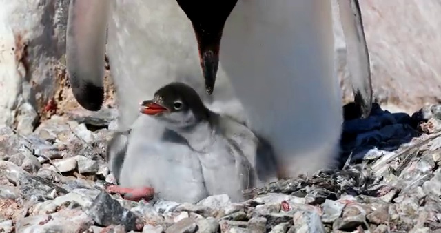  성남 사회복지사2급 학력 상관없이 독학으로 손쉽게