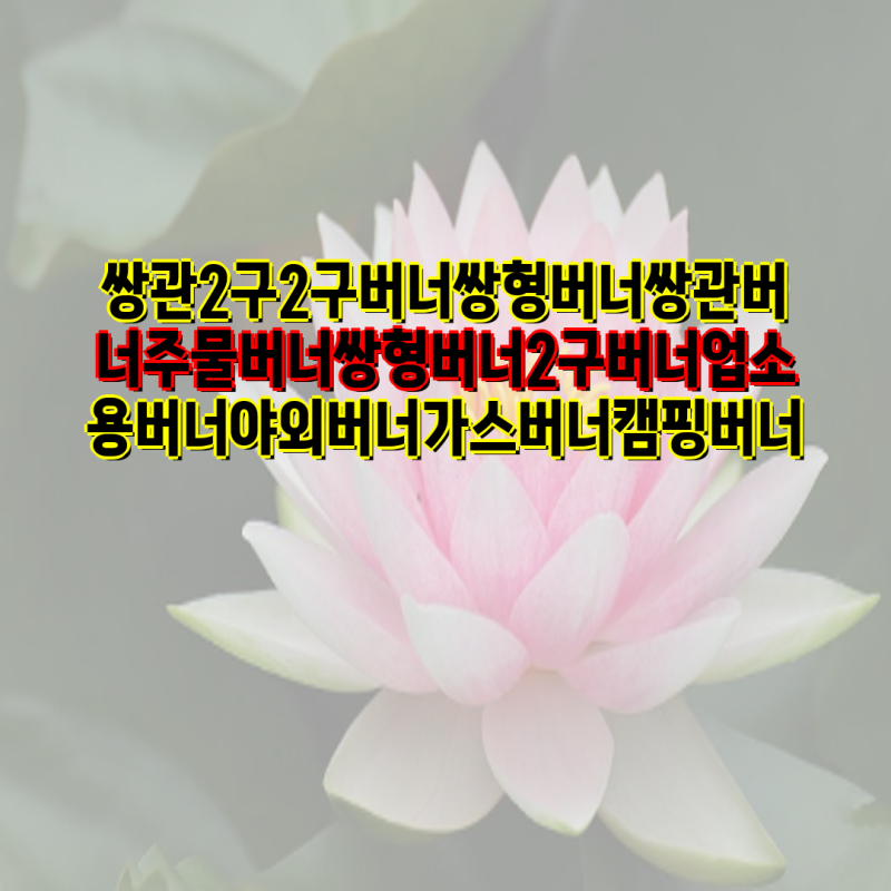 업소용 주물버너 쌍관버너 2구 선택 가이드 | 대흥, 동아, 극동 등 인기 브랜드 비교 | 쌍관버....