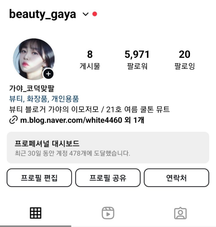 그린인스타로 인스타그램 팔로워 늘리기 후기, 그린인스타