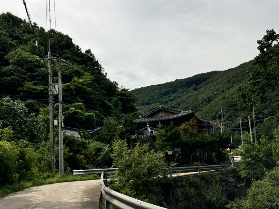 잎새바람 사진 2