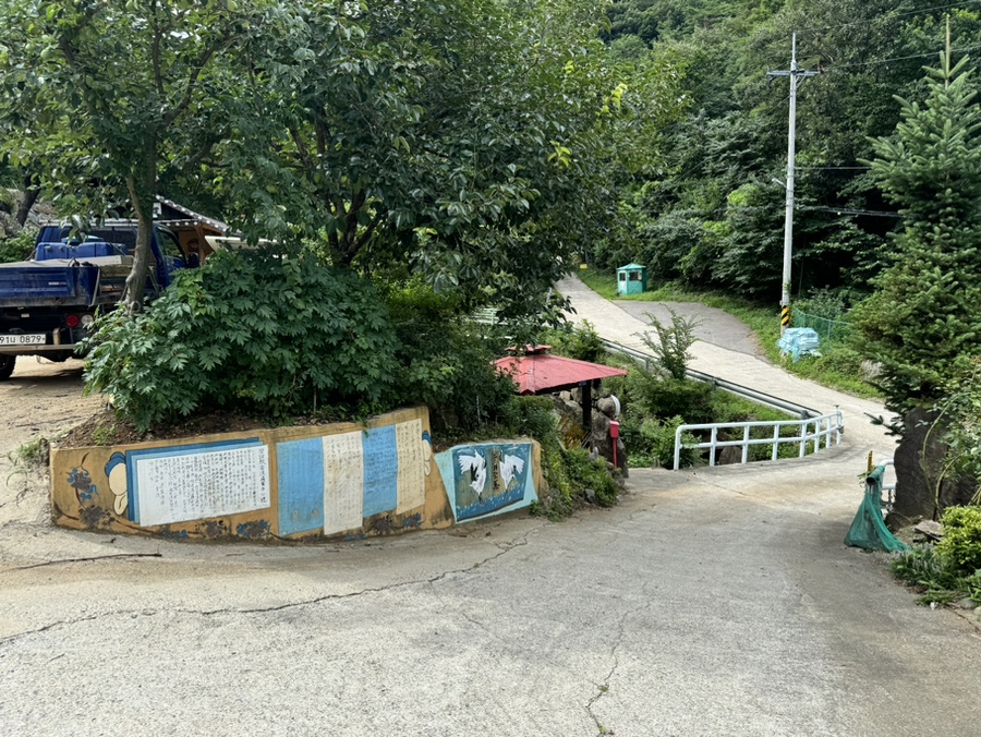 잎새바람 사진 5