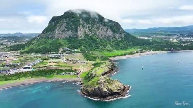  산림기사 후기 산림기사 시험응시조건 학점은행제로 1학기에 끝낸 전략