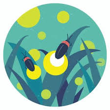  반딧불(Fireflies)