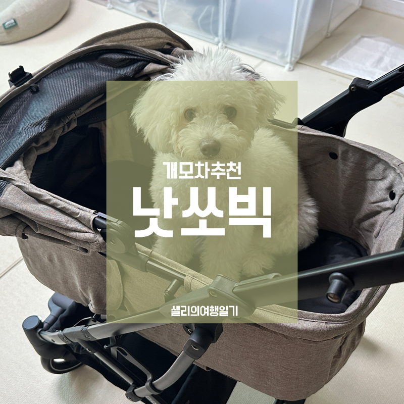 낫쏘빅 아로아2 퀵폴딩 일체형유모차 강아지유모차 개모차 레인커버
