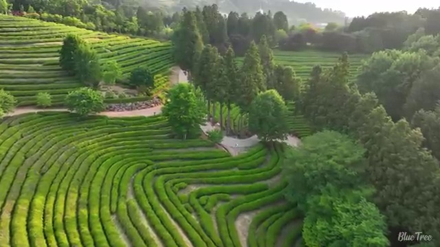  춘천 사회복지사2급 중년 직장인도 온라인 수업으로 편하게