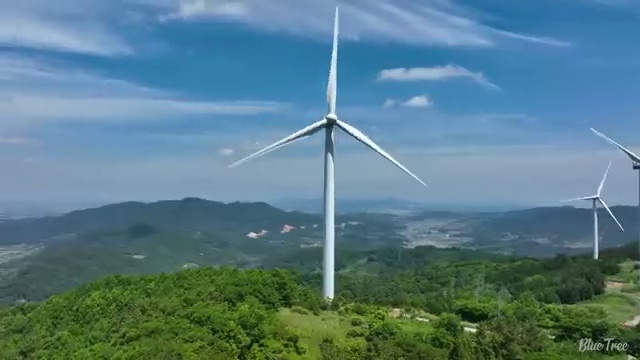  엘리하이로 1:1관리 받아요.