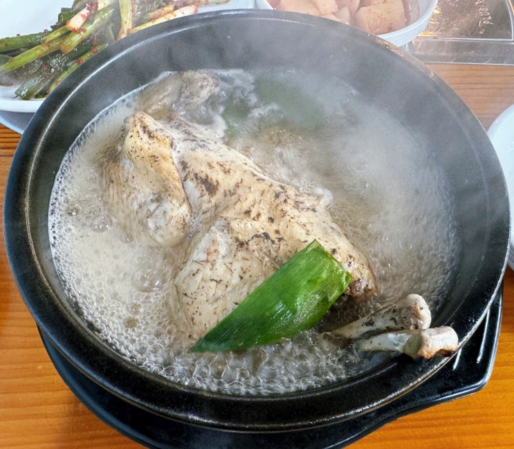  광주 삼계탕 맛집 유촌동 참일능이버섯백숙 복날 방문