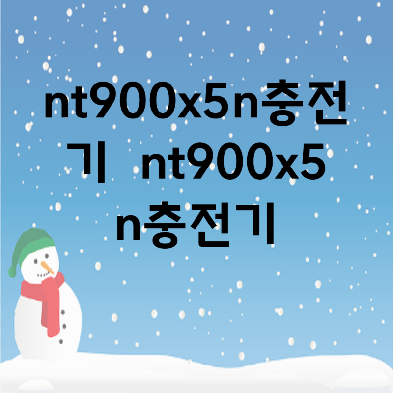 NT900X5N 충전기 완벽 분석 성능 비교 선택 가이드