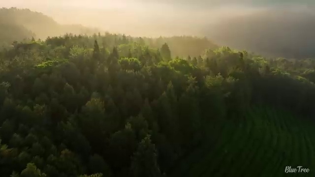  산림산업기사 자격요건 산림산업기사 자격요건 인강만 듣고 4달만에 성공한 방법
