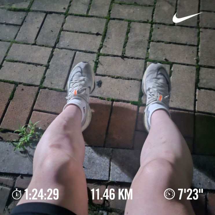 [챌린지] 매일 10km 걷/뛰기 챌린지 1080일차