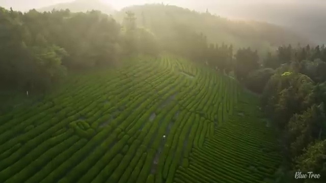  구리 사회복지사학점은행자격증 ~ 사회복지사2급 중년 직장인도 학은제 활용하여 간단하게