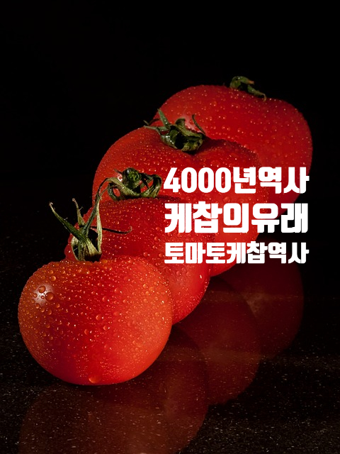  케찹의유래는 생선소스!4000년역사, 토마토케찹의 역사는?하인즈와 오뚜기의역사