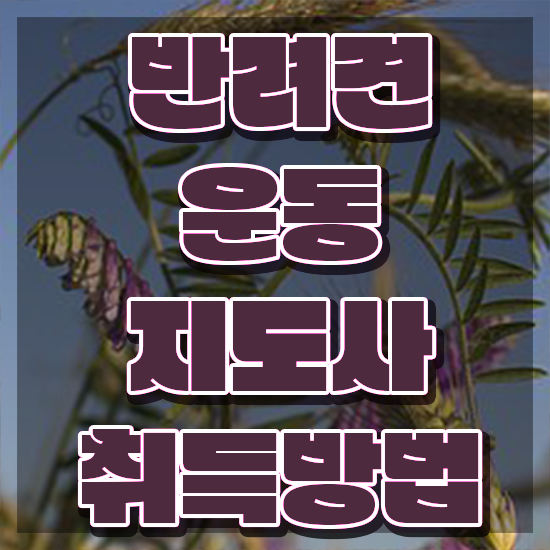  컴퓨터 자격증 추천 , 반려견운동지도사 집에서 온라인으로 중년 직장인도 손쉽게 끝낼수 있었던 팁