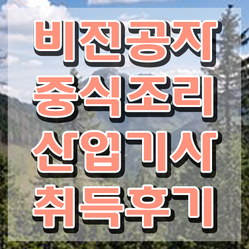  중식조리산업기사 합격 중식조리산업기사 응시조건 온라인 수업으로 간단하게 준비한 후기