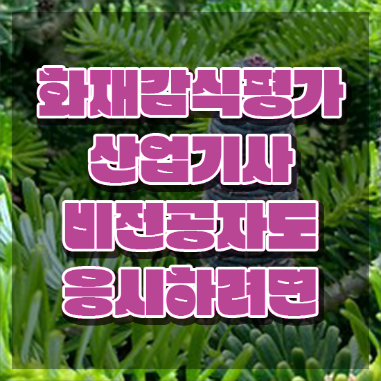  화재감식평가산업기사 자격요건 인강만 듣고 1학기에 완료한 노하우