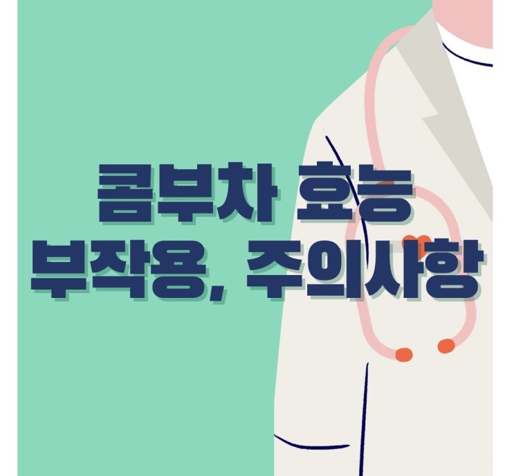  콤부차 효능 부작용 섭취시 주의사항