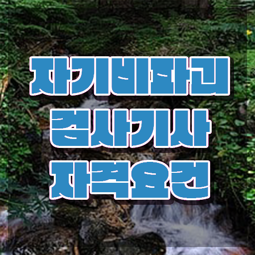  자기비파괴검사기사 시험응시조건 온라인 과정으로 반 년만에 성공한 노하우
