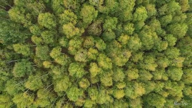 산림기사 접수 산림기사 취득자격 집에서 온라인으로 1학기에 준비한 전략