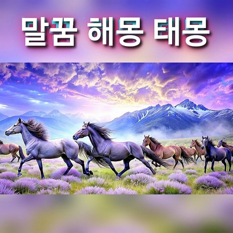 말을 보는 꿈해몽 말이 나오는 꿈태몽 대백과 사전