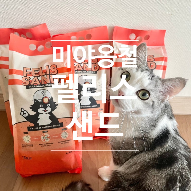  모래유목민 끝! 미야옹철의 고양이모래 펠리스샌드