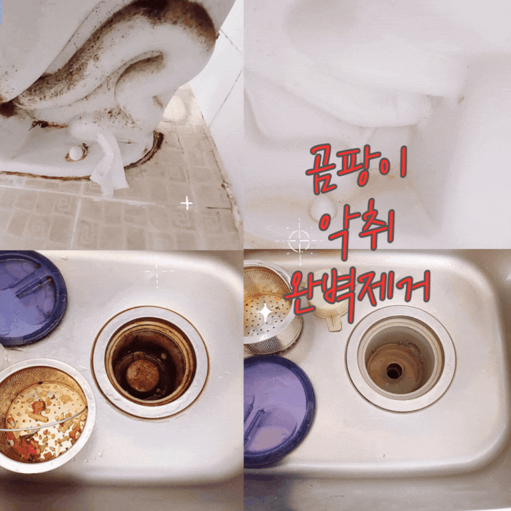  숨고 아파트 이사청소 입주청소 가격 후기 부탁해파파 추천