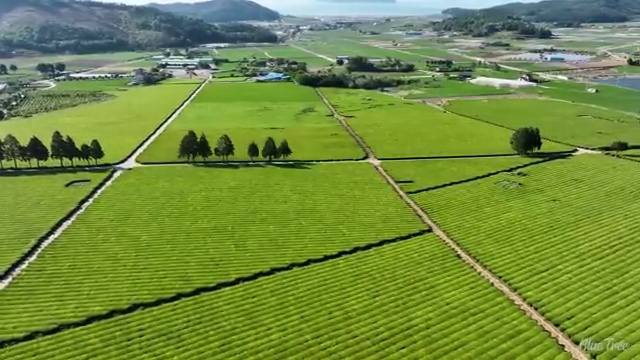  공조냉동기계산업기사 학원 공조냉동기계산업기사 응시자격 인강만 듣고 4달만에 끝낸 노하우