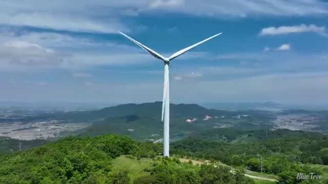  바리스타 학원 추천 , 바리스타 자격증 15일 만에 취득한 과정 전격분석
