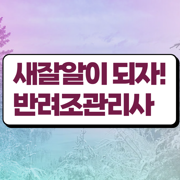  모란앵무 모프 , 반려조관리사 자격증 취득한 정보 소개합니다
