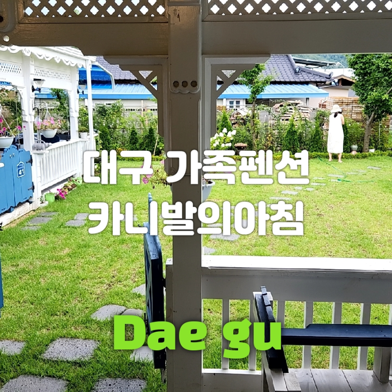 사진 3