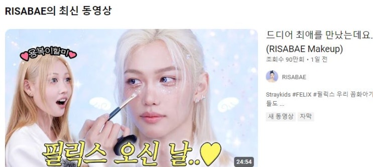 <b>용복</b>이할미 이사배 <b>필릭스</b> 메이크업 <b>스키즈 필릭스</b> 팬아트