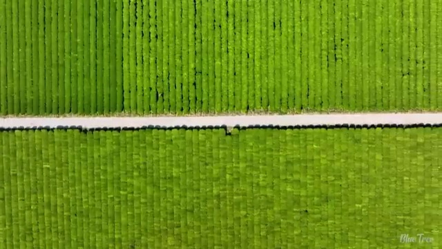  심리상담사2급 , 심리상담사 자격증 합격한 팁 궁금증 해결