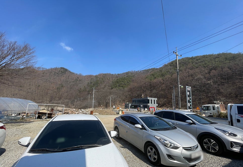 마르뜰 사진 2