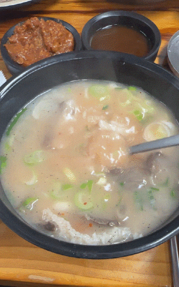  영천 현지인 맛집 포항할매집 소머리곰탕 내돈내산 솔직 후기